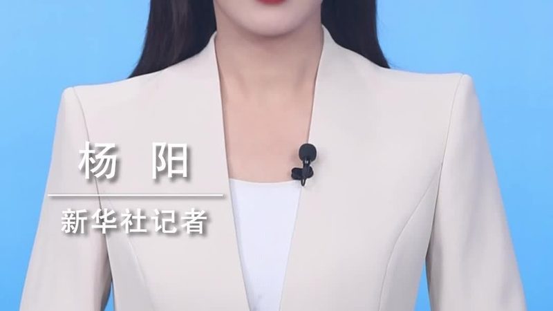 政府单位数据安全访问控制：守护信息安全的关键策略